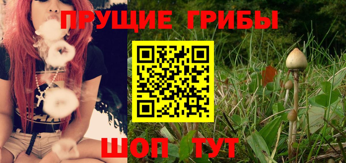 Псилоцибиновые грибы прущие грибы Усолье-Сибирское