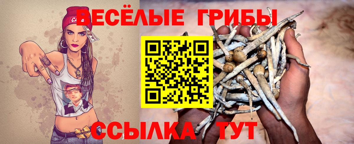 Галлюциногенные грибы прущие грибы  где можно купить   Усолье-Сибирское  Вход с VPN 